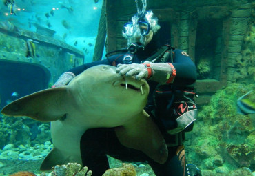 Океанариум Sochi Discovery World Aquarium.